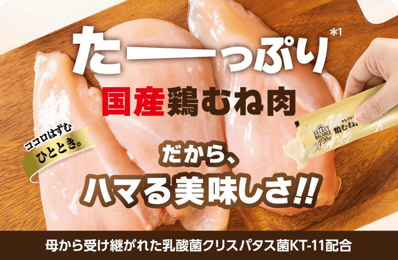 母から受け継がれた乳酸菌クリスパタス菌KT-11配合