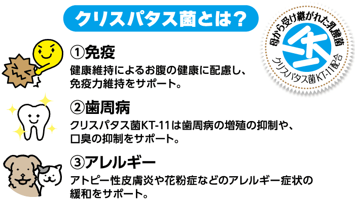 クリスパタス菌とは？①免疫②歯周病③アレルギーの緩和をサポート。