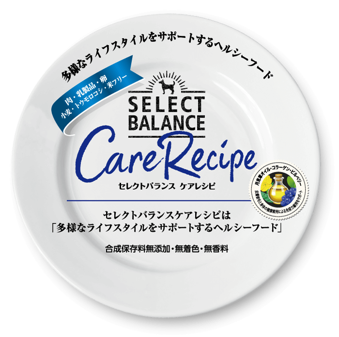 多様なライフスタイルをサポートするヘルシーフード「セレクトバランス ケアレシピ」