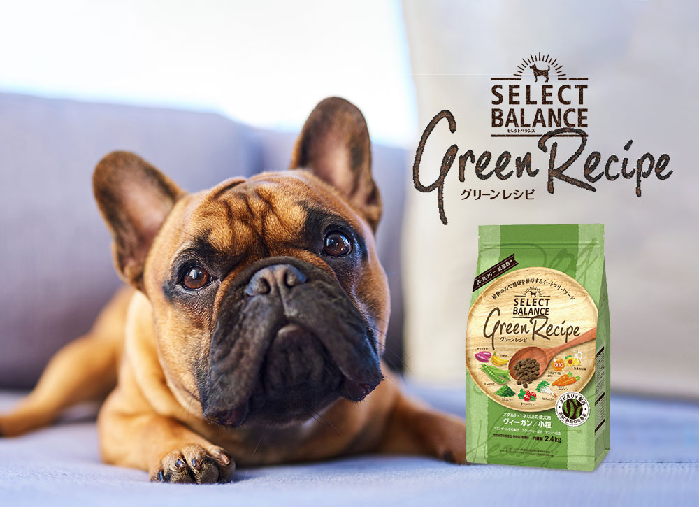 セレクトバランスグリーンレシピ ヴィーガン