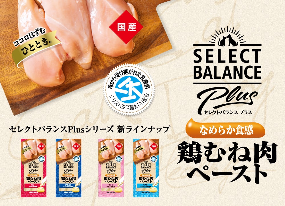 セレクトバランスPlus 鶏むね肉ペースト