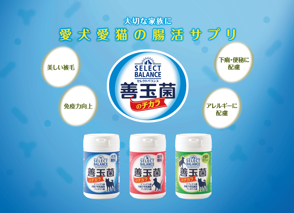 セレクトバランス・善玉菌のチカラ